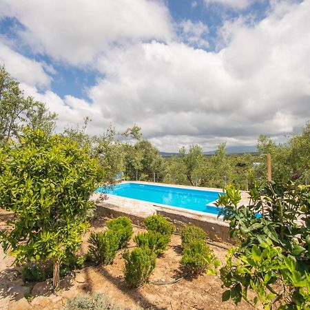 Hakuna Matata Holidays Wooden Lodge With Airco & Pool In Greek Olive Grove 迈索尼 外观 照片