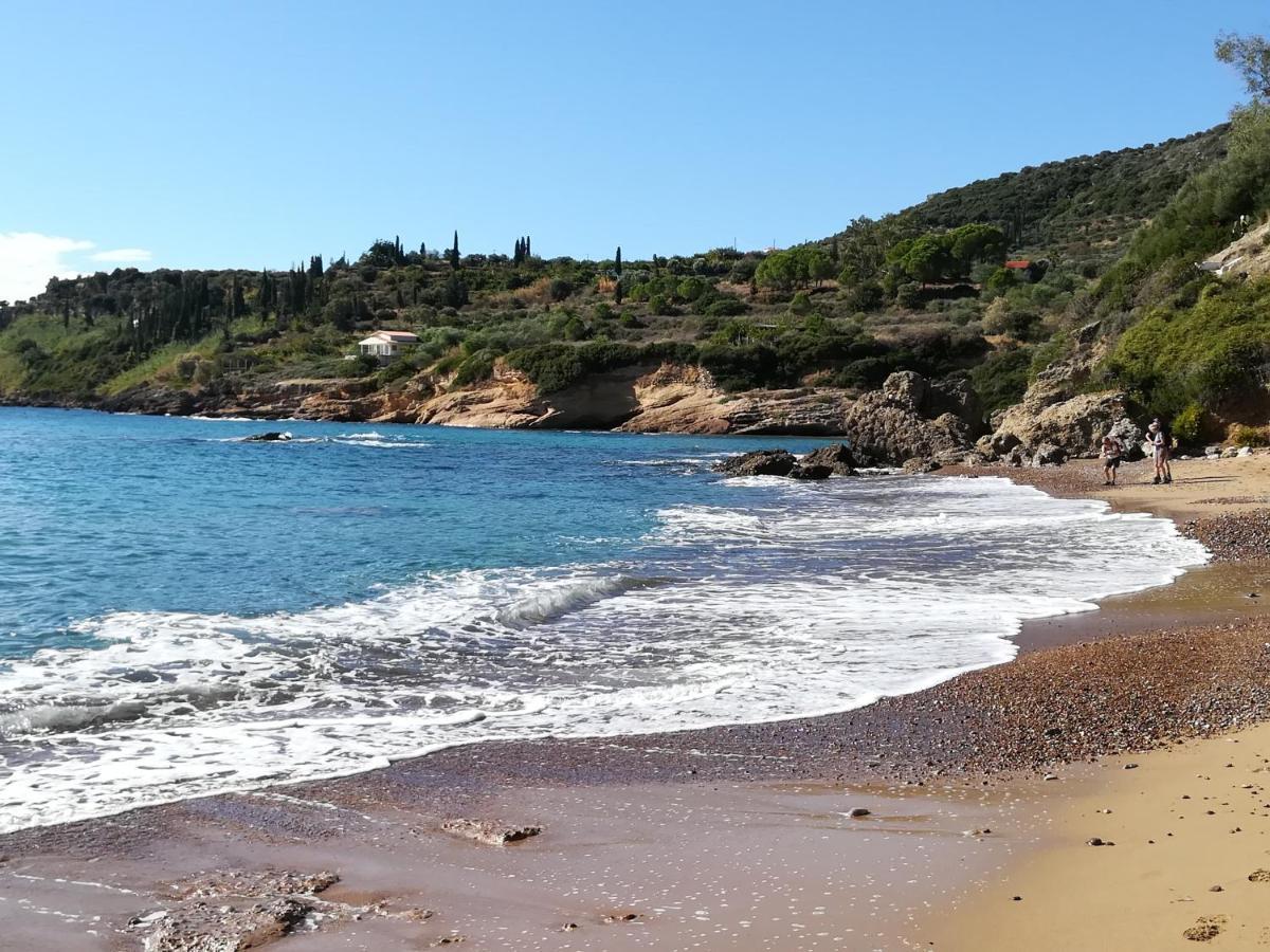 Hakuna Matata Holidays Wooden Lodge With Airco & Pool In Greek Olive Grove 迈索尼 外观 照片