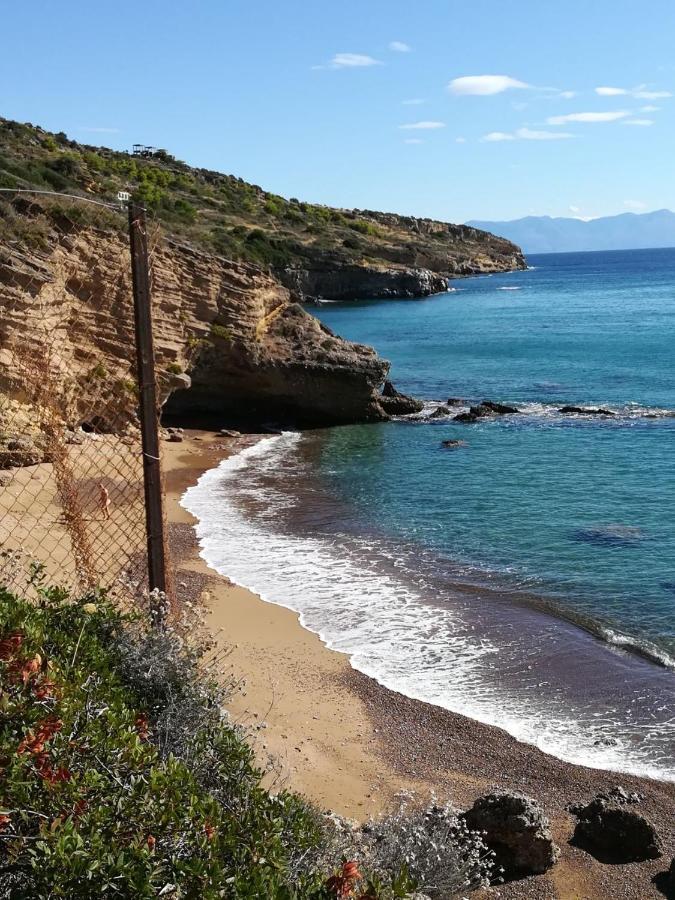 Hakuna Matata Holidays Wooden Lodge With Airco & Pool In Greek Olive Grove 迈索尼 外观 照片