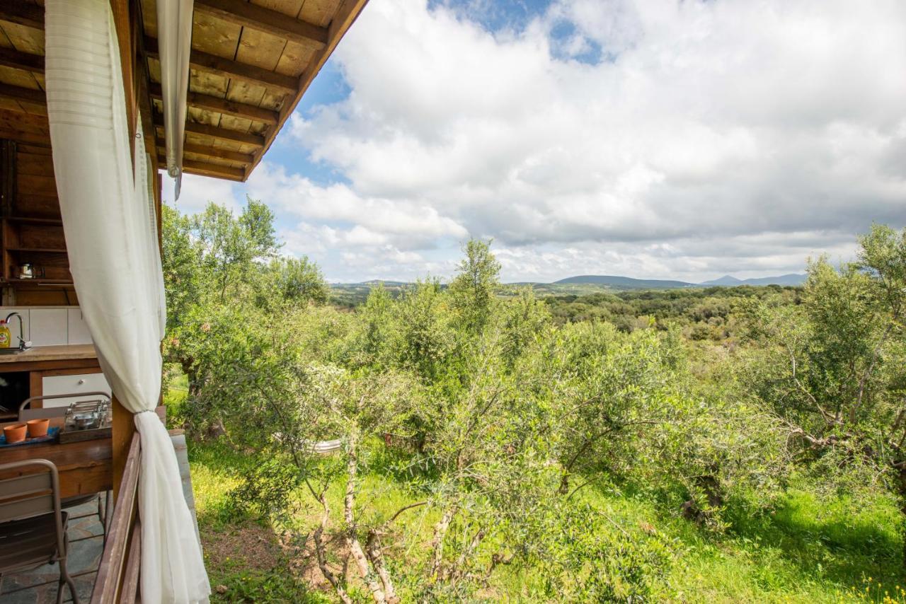 Hakuna Matata Holidays Wooden Lodge With Airco & Pool In Greek Olive Grove 迈索尼 外观 照片