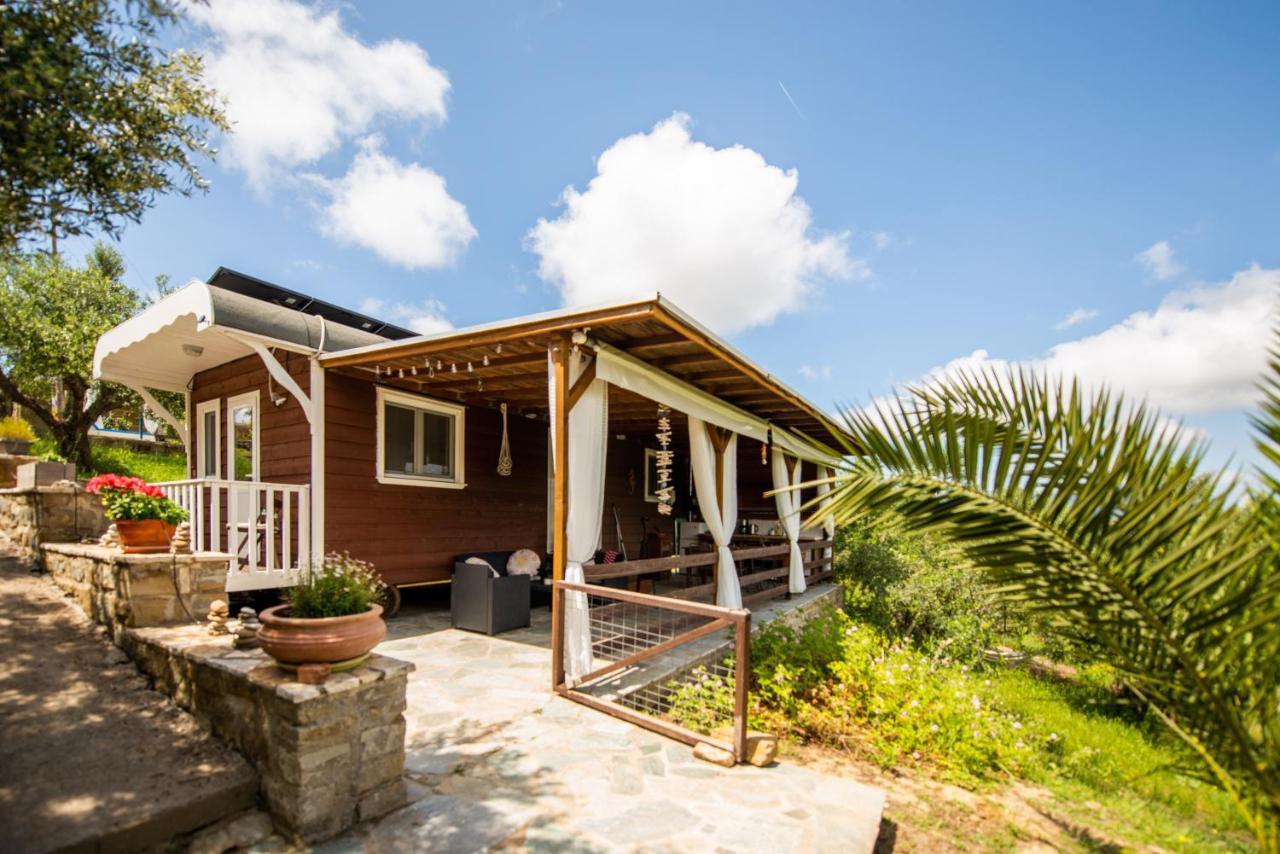 Hakuna Matata Holidays Wooden Lodge With Airco & Pool In Greek Olive Grove 迈索尼 外观 照片