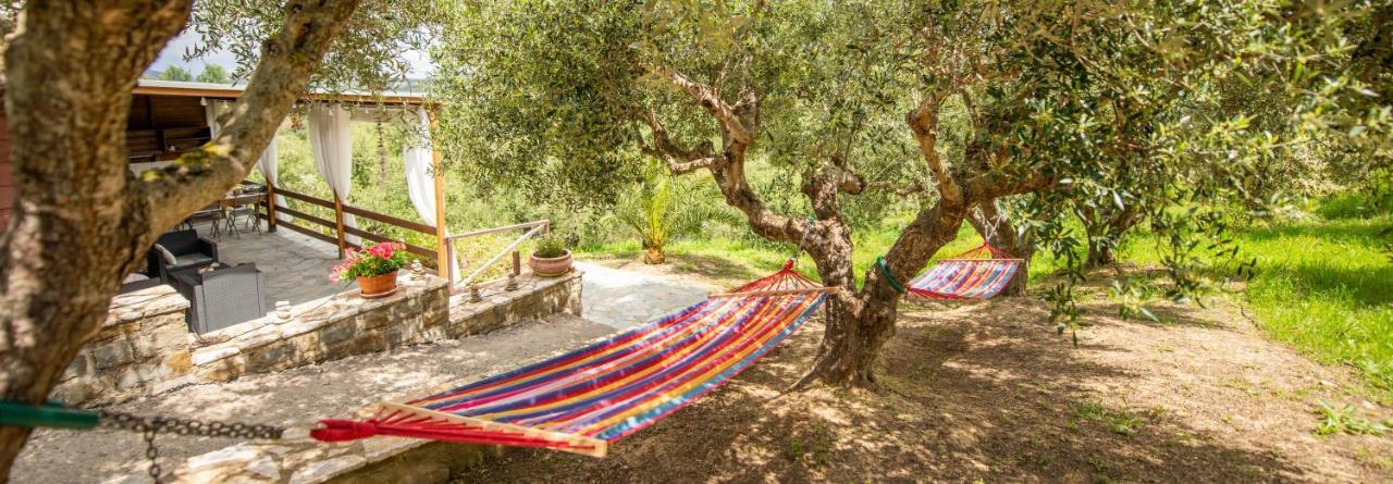 Hakuna Matata Holidays Wooden Lodge With Airco & Pool In Greek Olive Grove 迈索尼 外观 照片