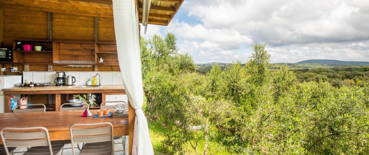 Hakuna Matata Holidays Wooden Lodge With Airco & Pool In Greek Olive Grove 迈索尼 外观 照片