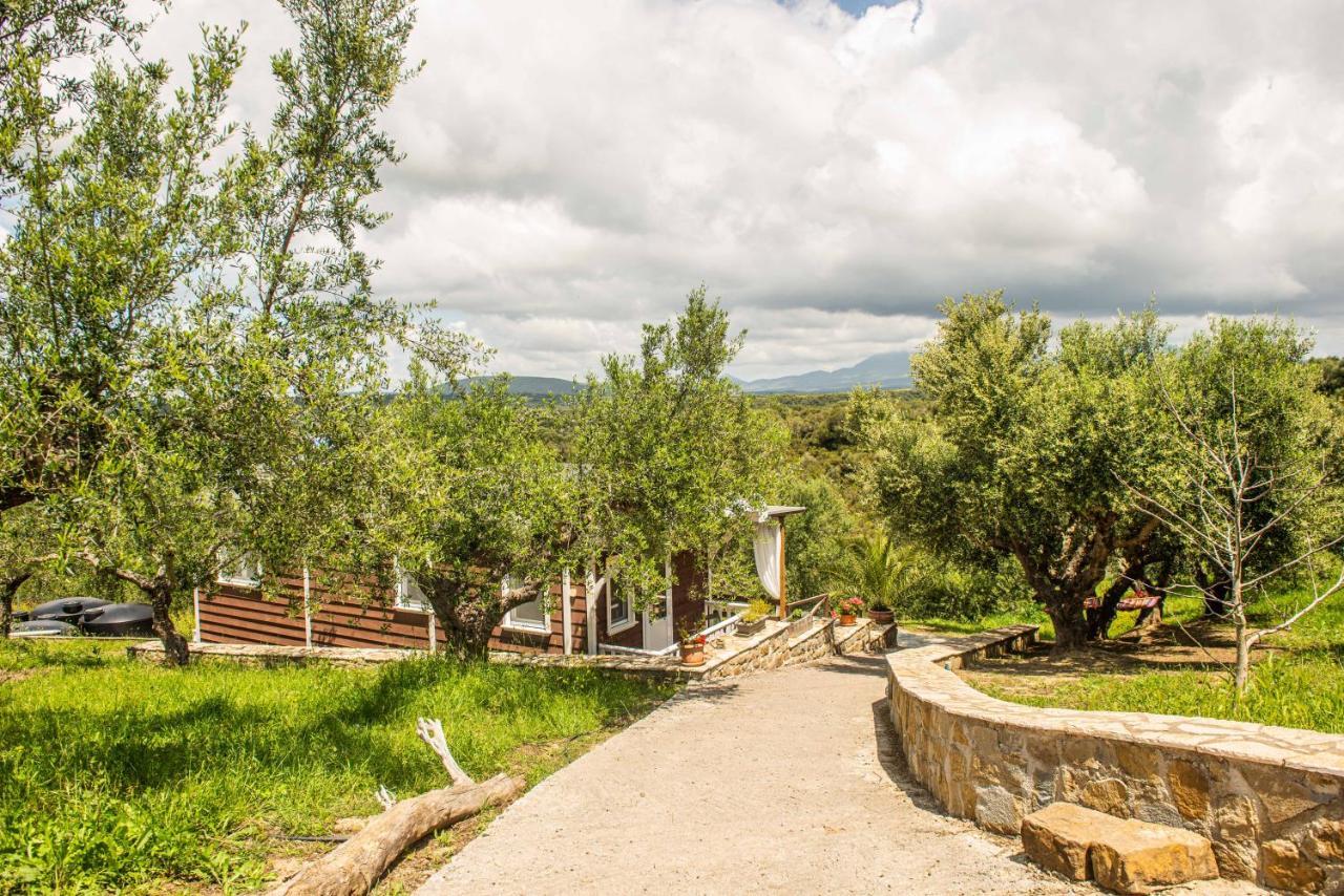 Hakuna Matata Holidays Wooden Lodge With Airco & Pool In Greek Olive Grove 迈索尼 外观 照片