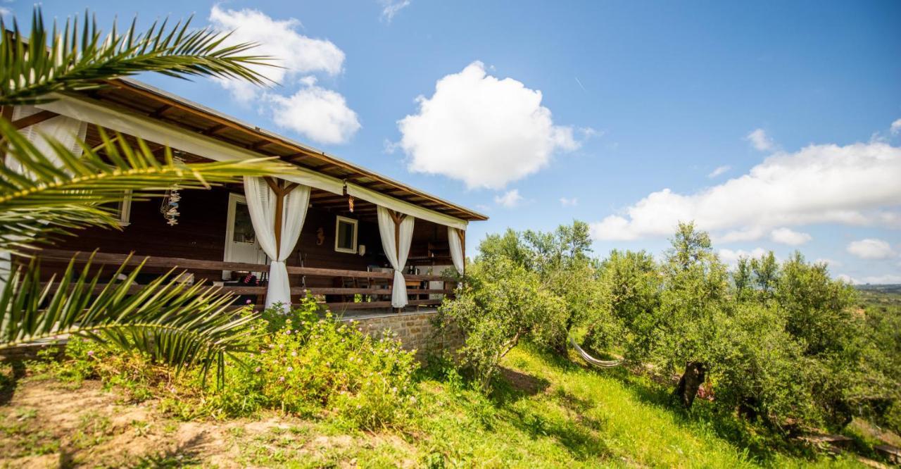 Hakuna Matata Holidays Wooden Lodge With Airco & Pool In Greek Olive Grove 迈索尼 外观 照片