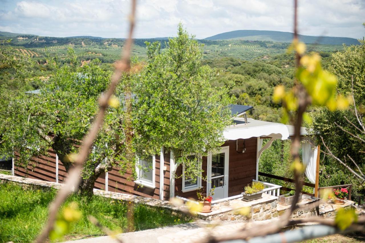 Hakuna Matata Holidays Wooden Lodge With Airco & Pool In Greek Olive Grove 迈索尼 外观 照片