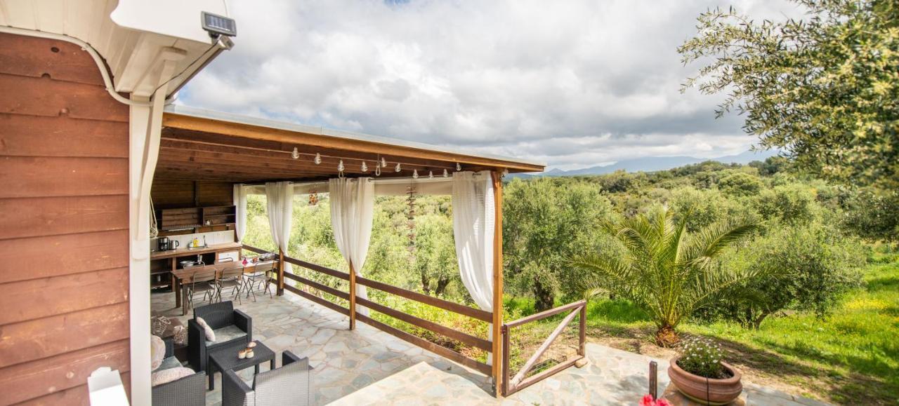Hakuna Matata Holidays Wooden Lodge With Airco & Pool In Greek Olive Grove 迈索尼 外观 照片
