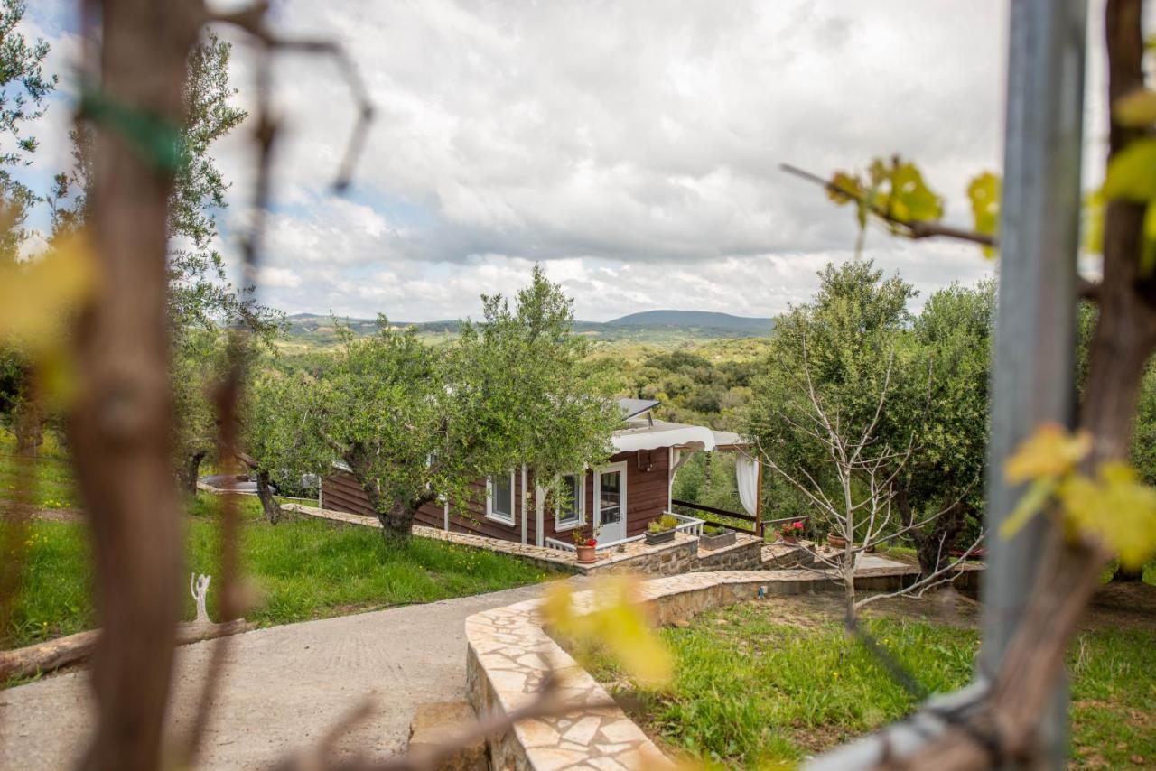 Hakuna Matata Holidays Wooden Lodge With Airco & Pool In Greek Olive Grove 迈索尼 外观 照片