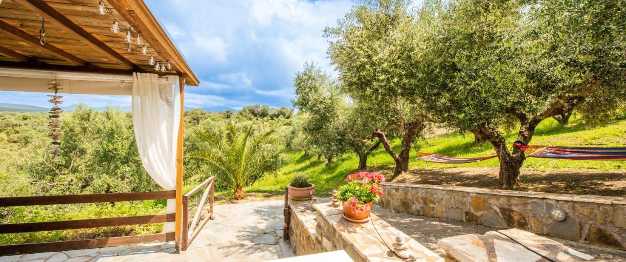 Hakuna Matata Holidays Wooden Lodge With Airco & Pool In Greek Olive Grove 迈索尼 外观 照片