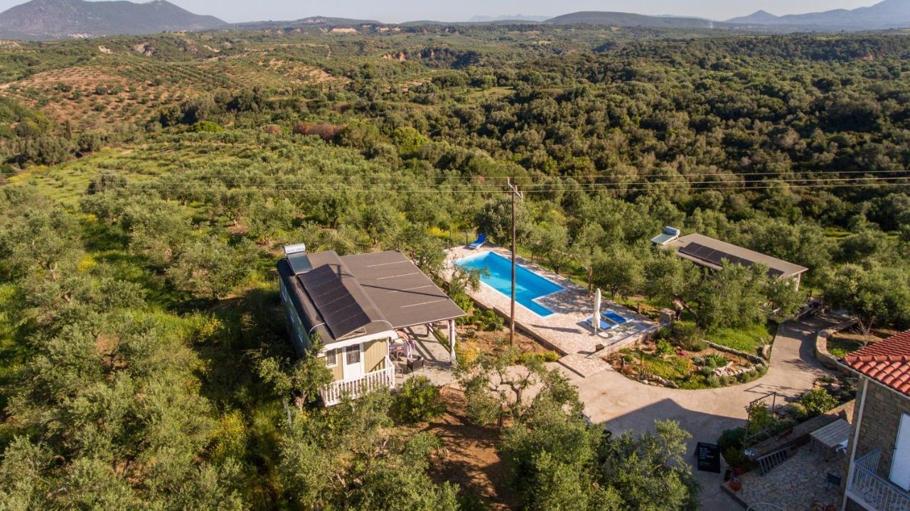 Hakuna Matata Holidays Wooden Lodge With Airco & Pool In Greek Olive Grove 迈索尼 外观 照片
