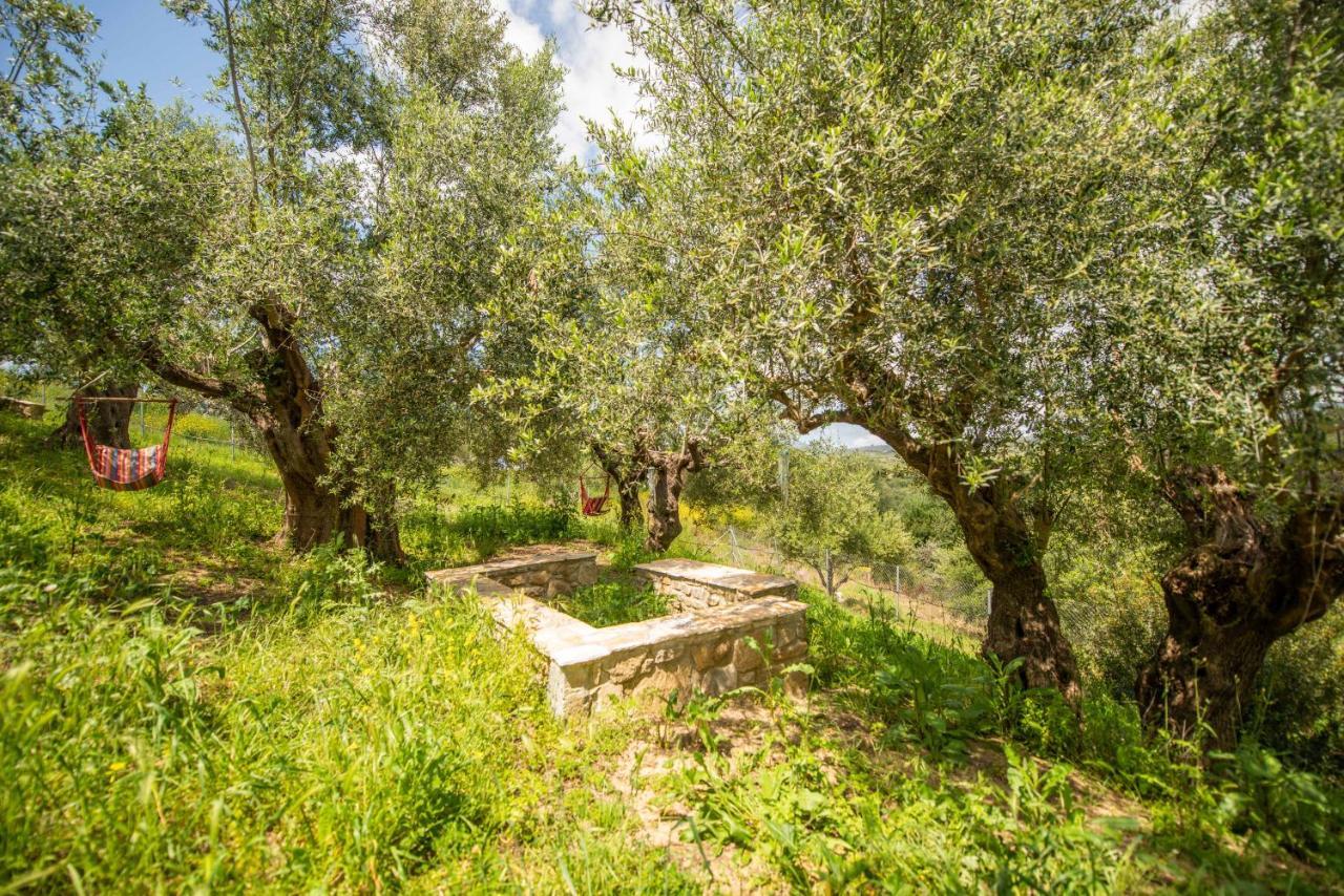 Hakuna Matata Holidays Wooden Lodge With Airco & Pool In Greek Olive Grove 迈索尼 外观 照片