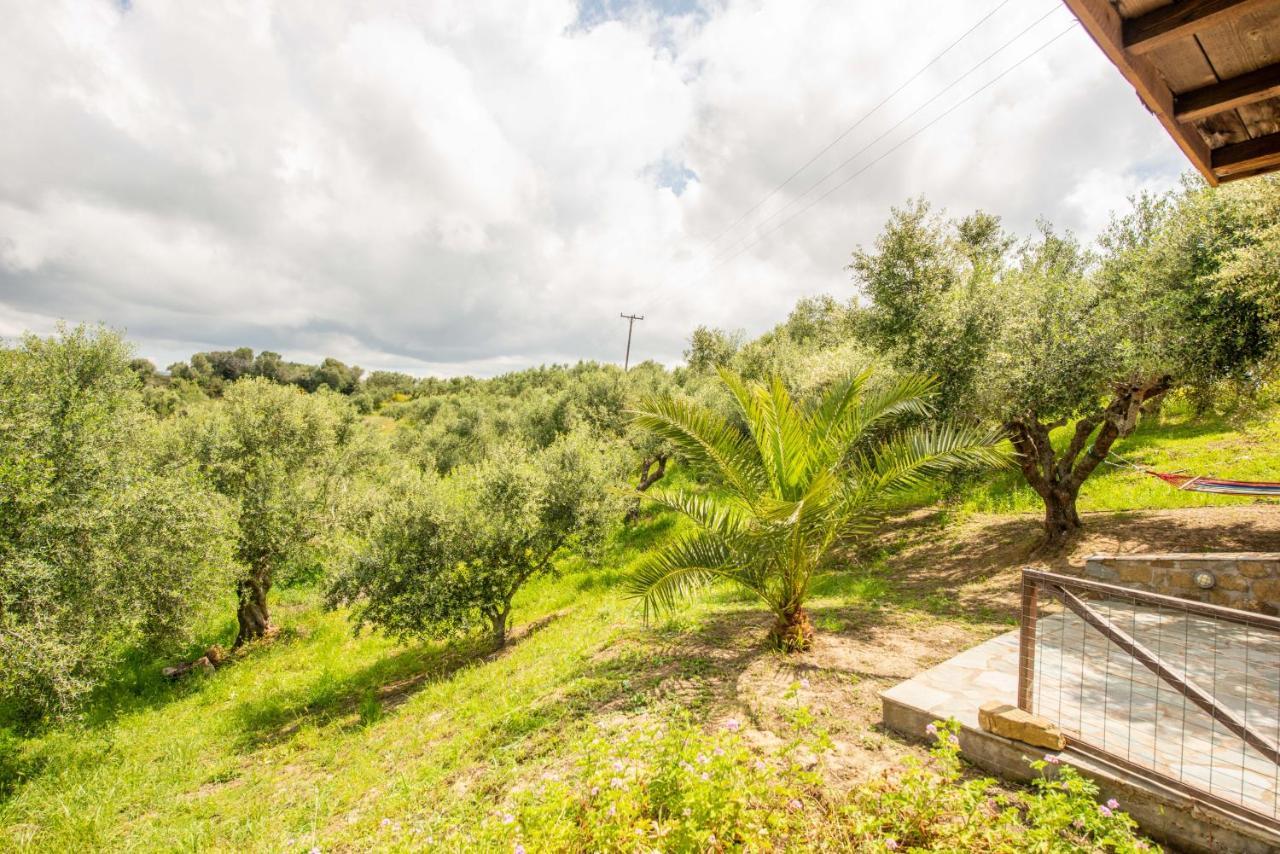Hakuna Matata Holidays Wooden Lodge With Airco & Pool In Greek Olive Grove 迈索尼 外观 照片