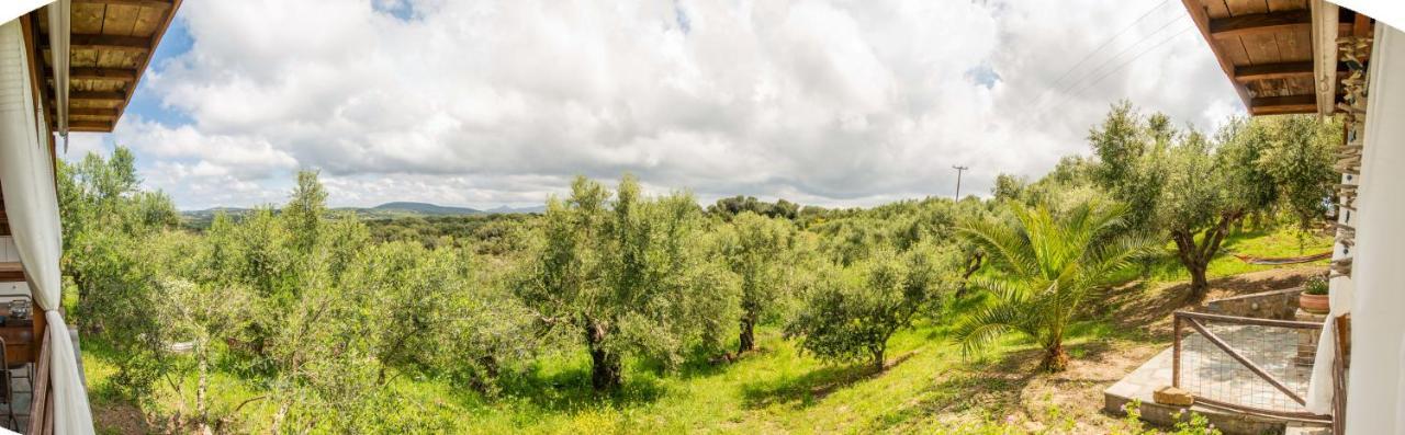 Hakuna Matata Holidays Wooden Lodge With Airco & Pool In Greek Olive Grove 迈索尼 外观 照片
