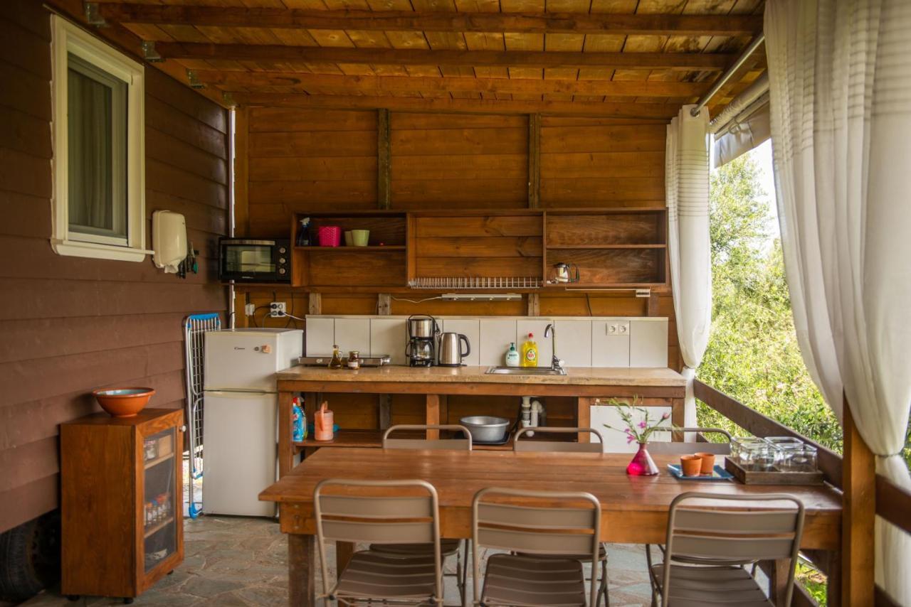 Hakuna Matata Holidays Wooden Lodge With Airco & Pool In Greek Olive Grove 迈索尼 外观 照片