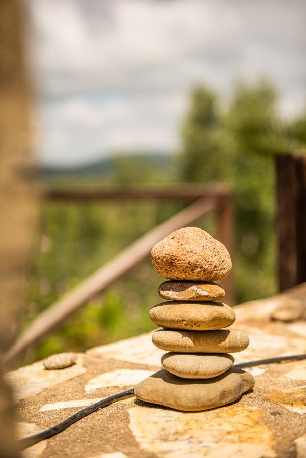 Hakuna Matata Holidays Wooden Lodge With Airco & Pool In Greek Olive Grove 迈索尼 外观 照片