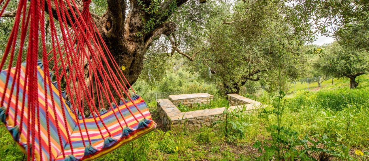 Hakuna Matata Holidays Wooden Lodge With Airco & Pool In Greek Olive Grove 迈索尼 外观 照片