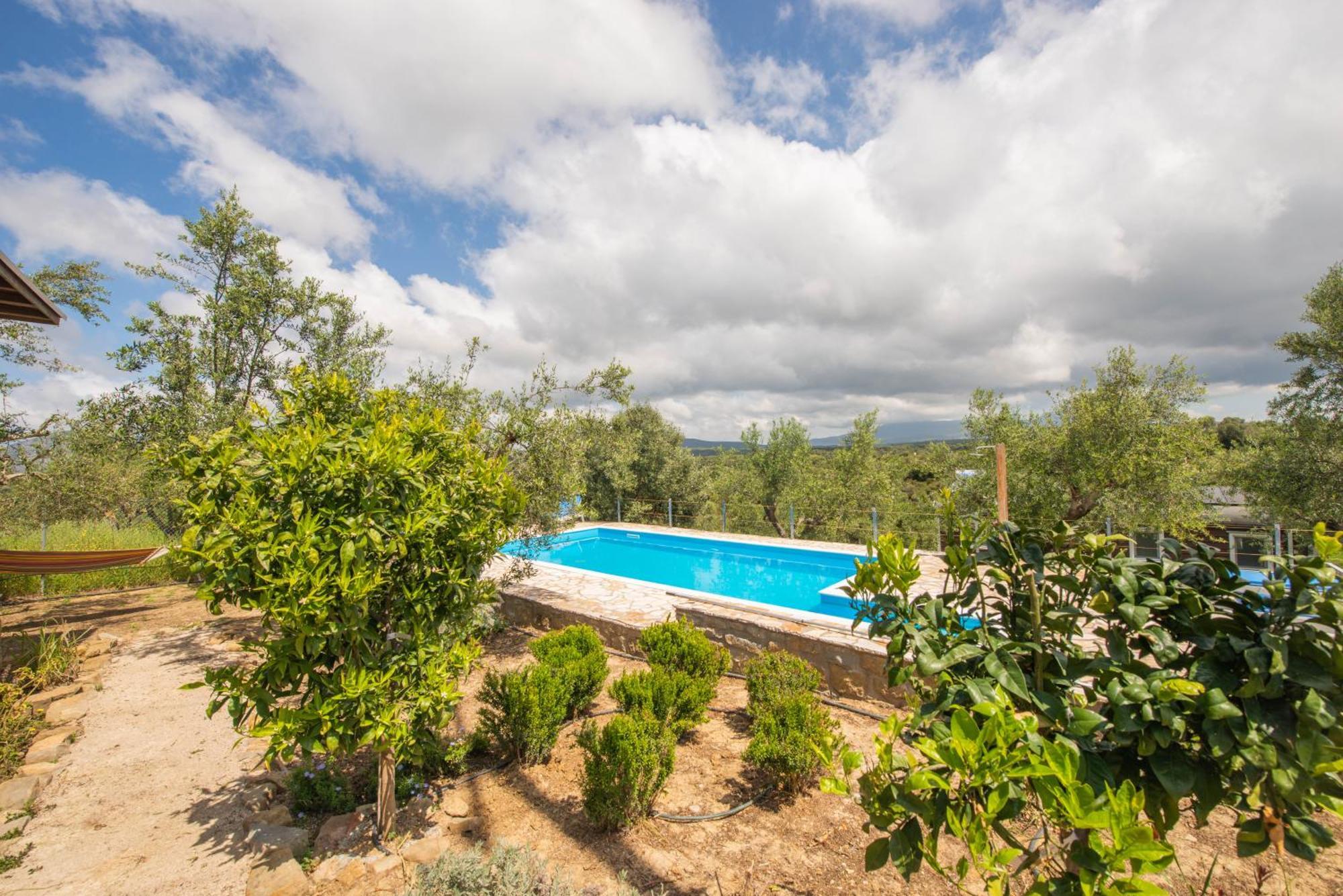 Hakuna Matata Holidays Wooden Lodge With Airco & Pool In Greek Olive Grove 迈索尼 外观 照片