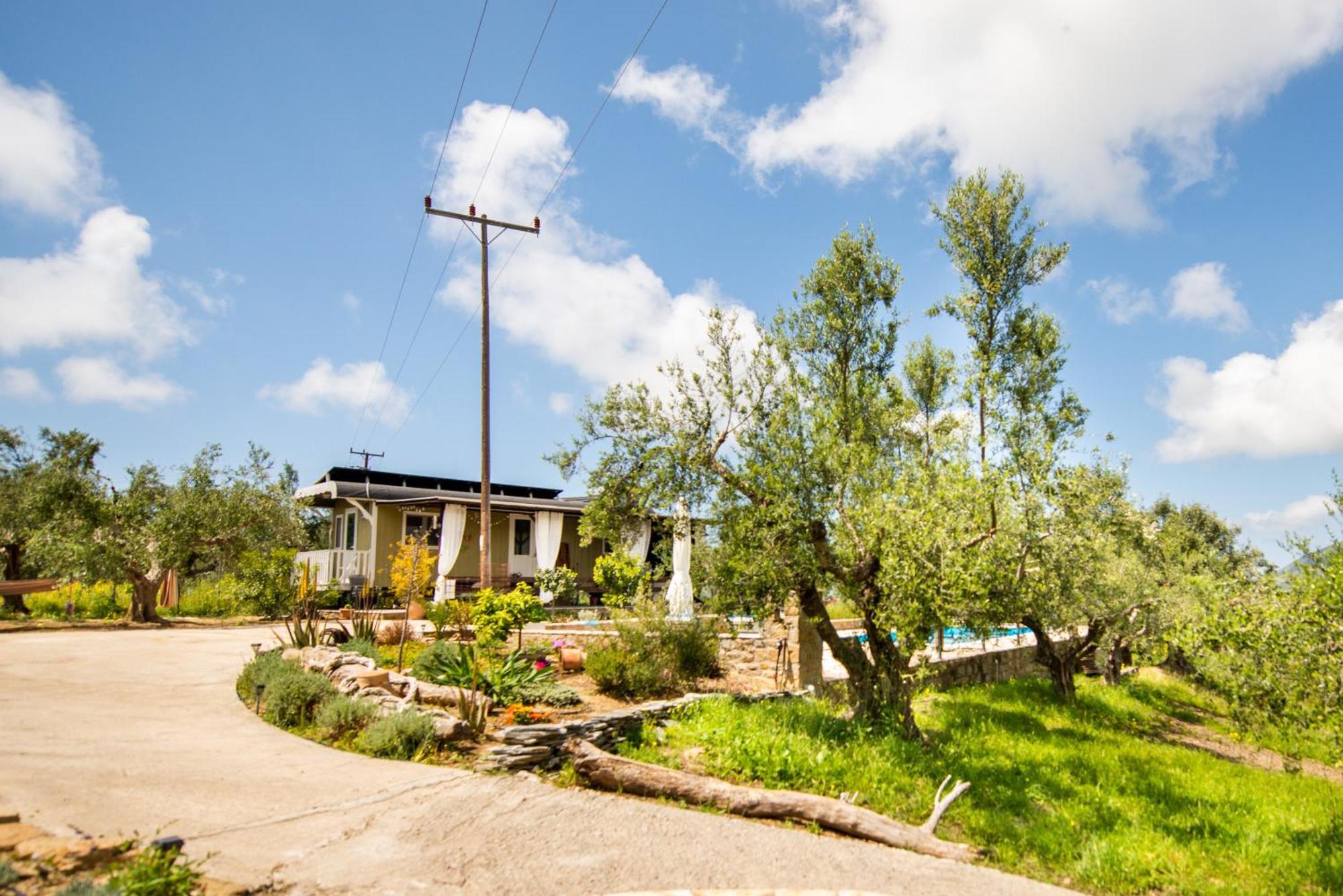 Hakuna Matata Holidays Wooden Lodge With Airco & Pool In Greek Olive Grove 迈索尼 外观 照片